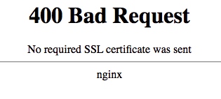 nginx 400 bad request